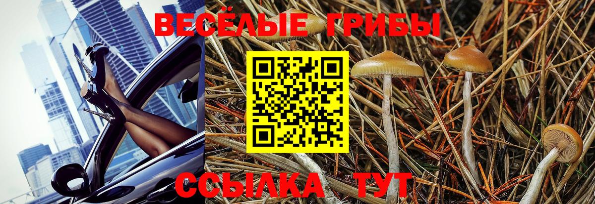 Кокаин  Вход с VPN  Меф МЯУ МЯУ кристаллы  ГАШ  APVP СОЛЬ   Лесосибирск  Конопля 