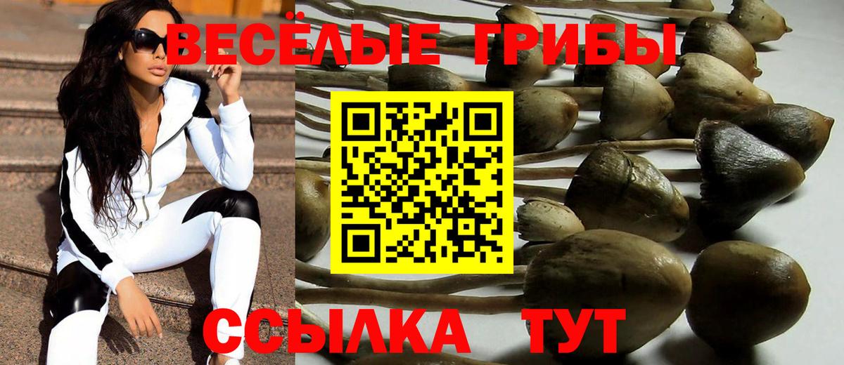 Галлюциногенные грибы GOLDEN TEACHER  Вход с VPN  Лесосибирск 